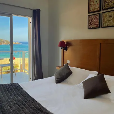 Lilium Maris 4* Tizzano