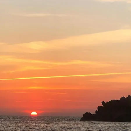 Lilium Maris 4* ティザノ