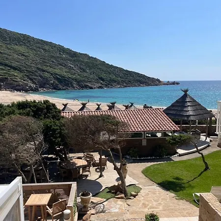 Lilium Maris 4* Tizzano