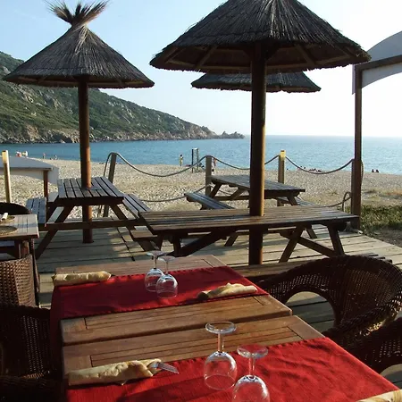 Lilium Maris Tizzano