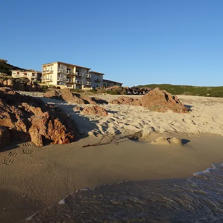 Lilium Maris Tizzano