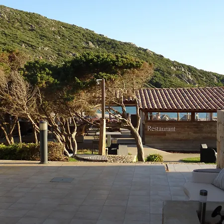 Lilium Maris Tizzano