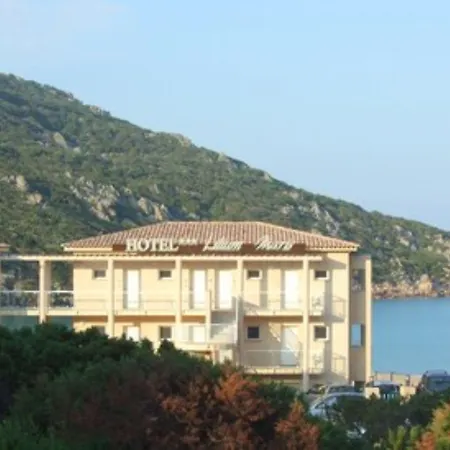 Lilium Maris 4* Tizzano