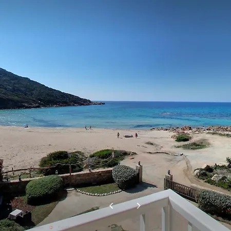 Lilium Maris Tizzano