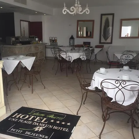 Lilium Maris 4* Tizzano