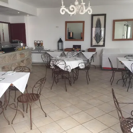 Lilium Maris 4* Tizzano