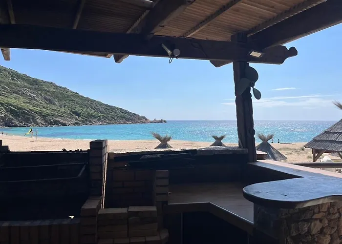 Lilium Maris 4* Tizzano