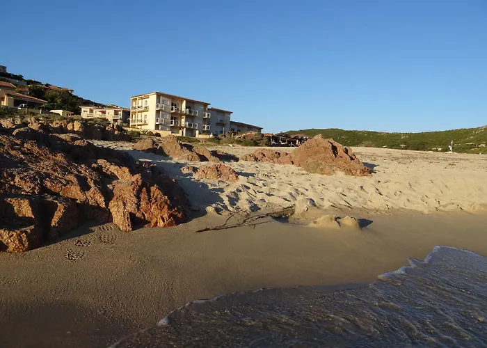 Lilium Maris Tizzano