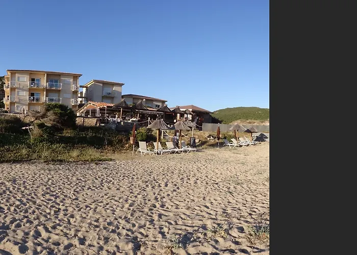 Lilium Maris Tizzano