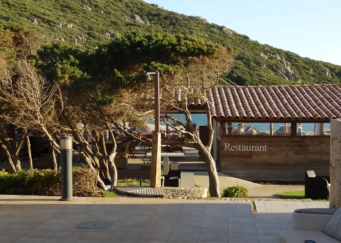 Lilium Maris Tizzano