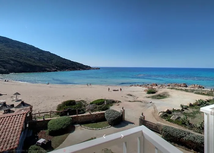 Lilium Maris Tizzano