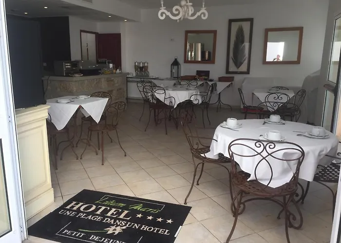 Lilium Maris 4* Tizzano