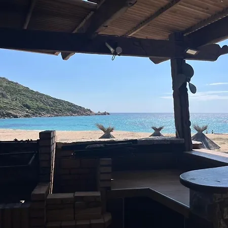 Lilium Maris 4* Tizzano