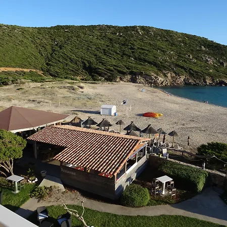 Lilium Maris 4* Tizzano