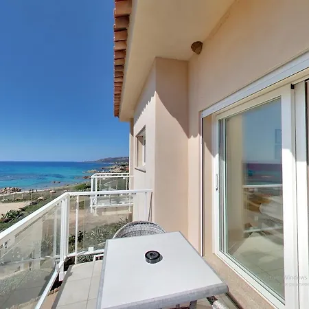 Lilium Maris 4* Tizzano