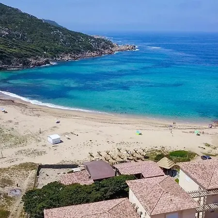 Lilium Maris 4* Tizzano