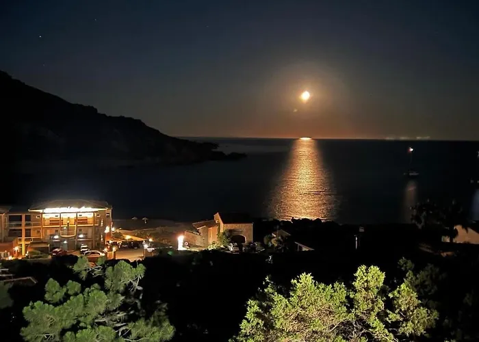 Lilium Maris Tizzano