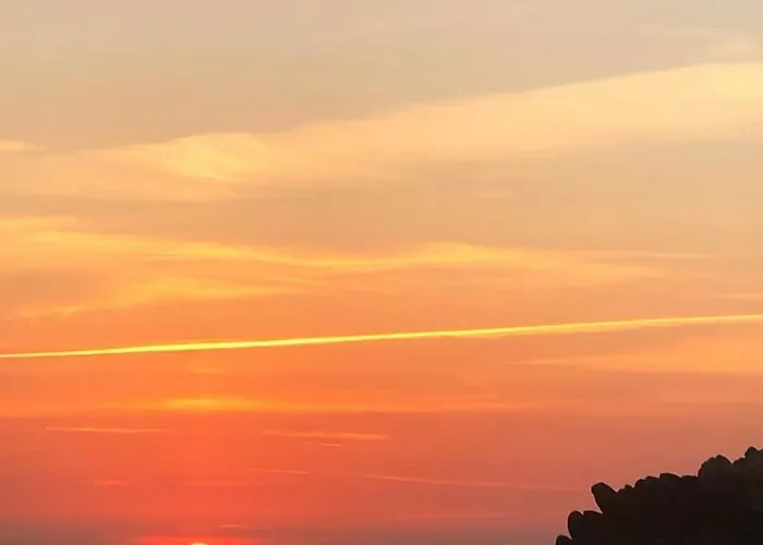 Lilium Maris 4* Tizzano