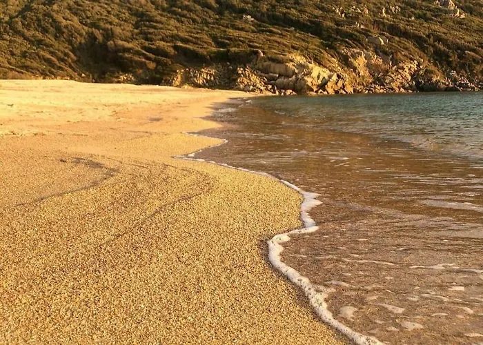 Lilium Maris Тиццано