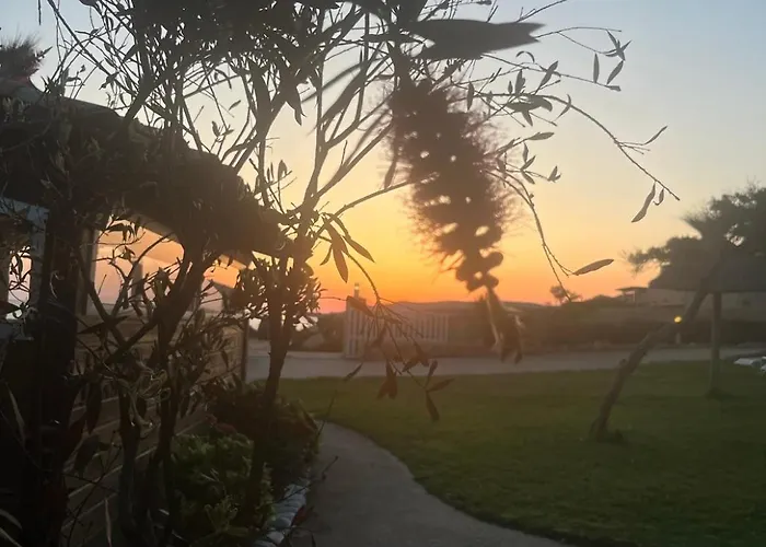 Lilium Maris Тиццано