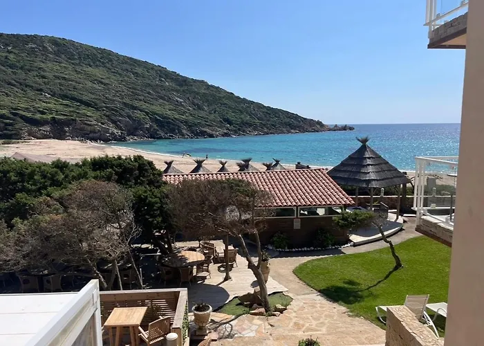 Lilium Maris 4* Tizzano