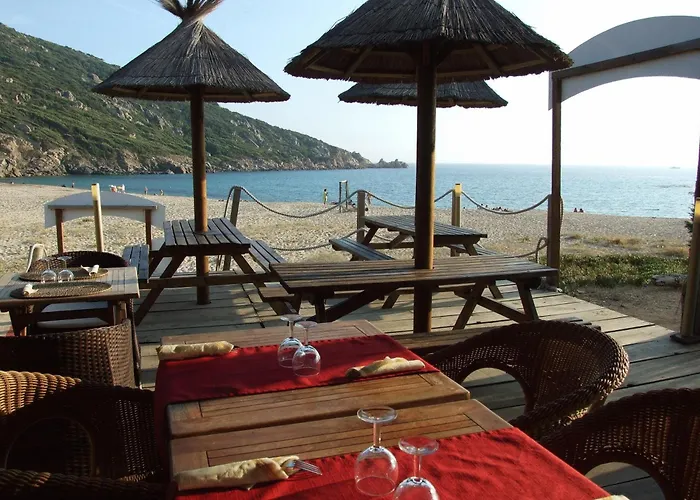 Lilium Maris Tizzano