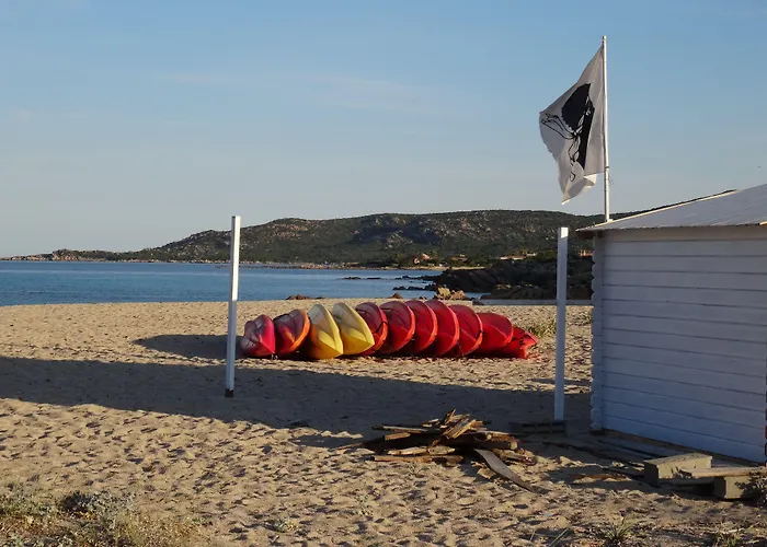 Lilium Maris 4* Tizzano