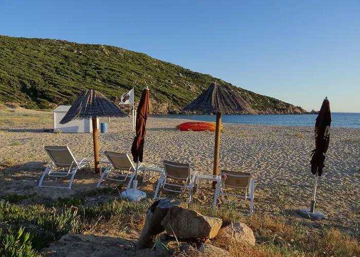 Lilium Maris Tizzano