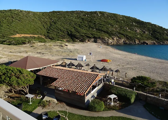 Lilium Maris 4* Tizzano