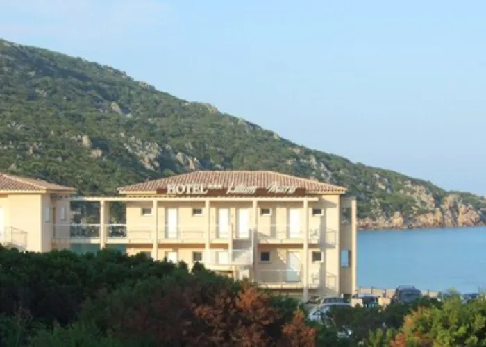 Lilium Maris 4* Tizzano