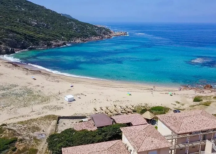 Lilium Maris 4* Tizzano