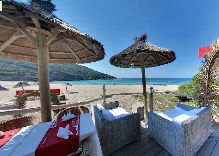 Lilium Maris Тиццано